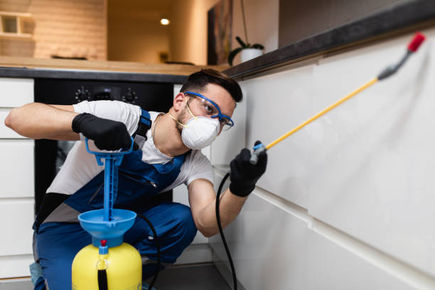 Best Mosquito Control Services  in Pikeville, KY