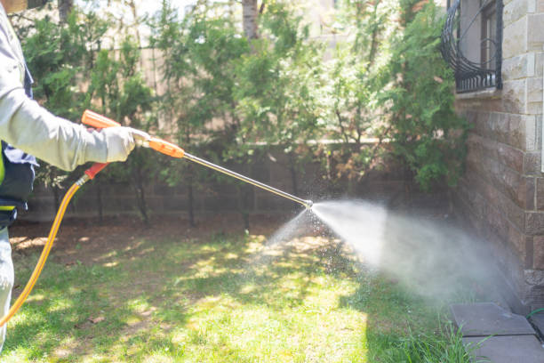 Best Termite Control Services  in Pikeville, KY