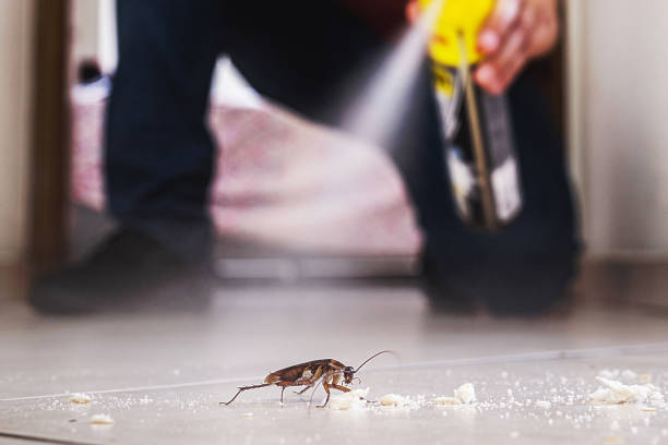 Reliable Pikeville, KY Pest Control Solutions