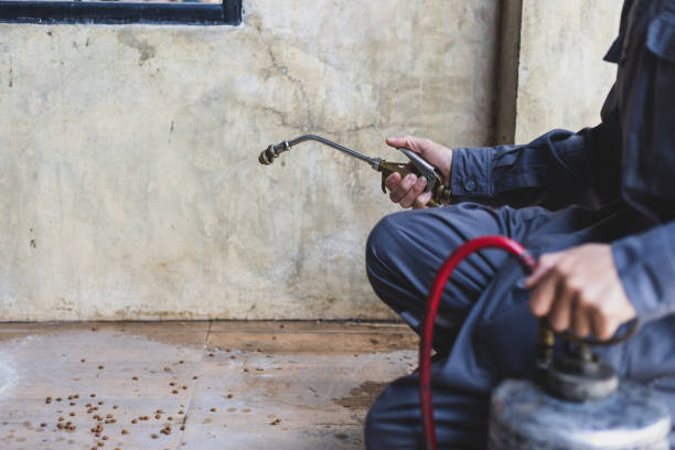 Best Best Pest Control Companies  in Pikeville, KY